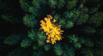 Diversity and inclusion