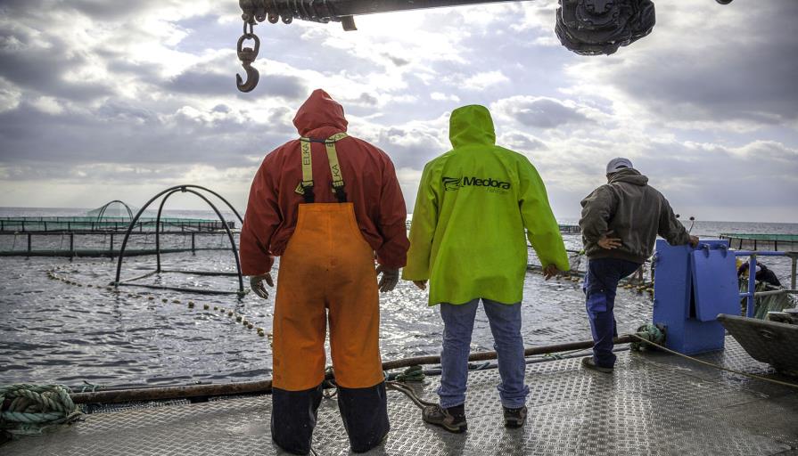 Medora Certifictaion by DNV