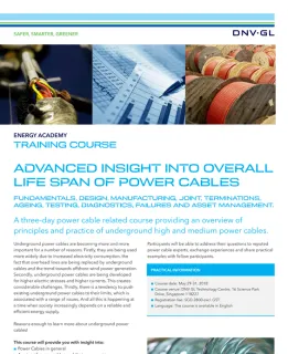 Advanced Insight into the Overall Lifespan of Power Cables training course leaflet