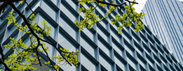 Environment and energy