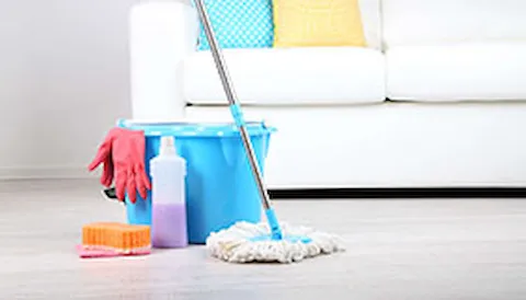 BRCGS Consumer Product Standards, issue 4