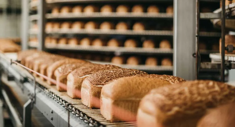 Bread in a bakery on an automated conveyor belt