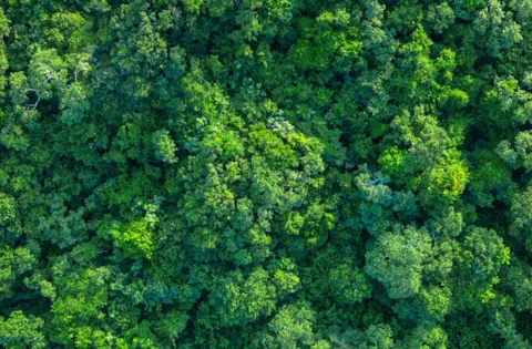 Revision of ISO 14001 - Environmental Management System