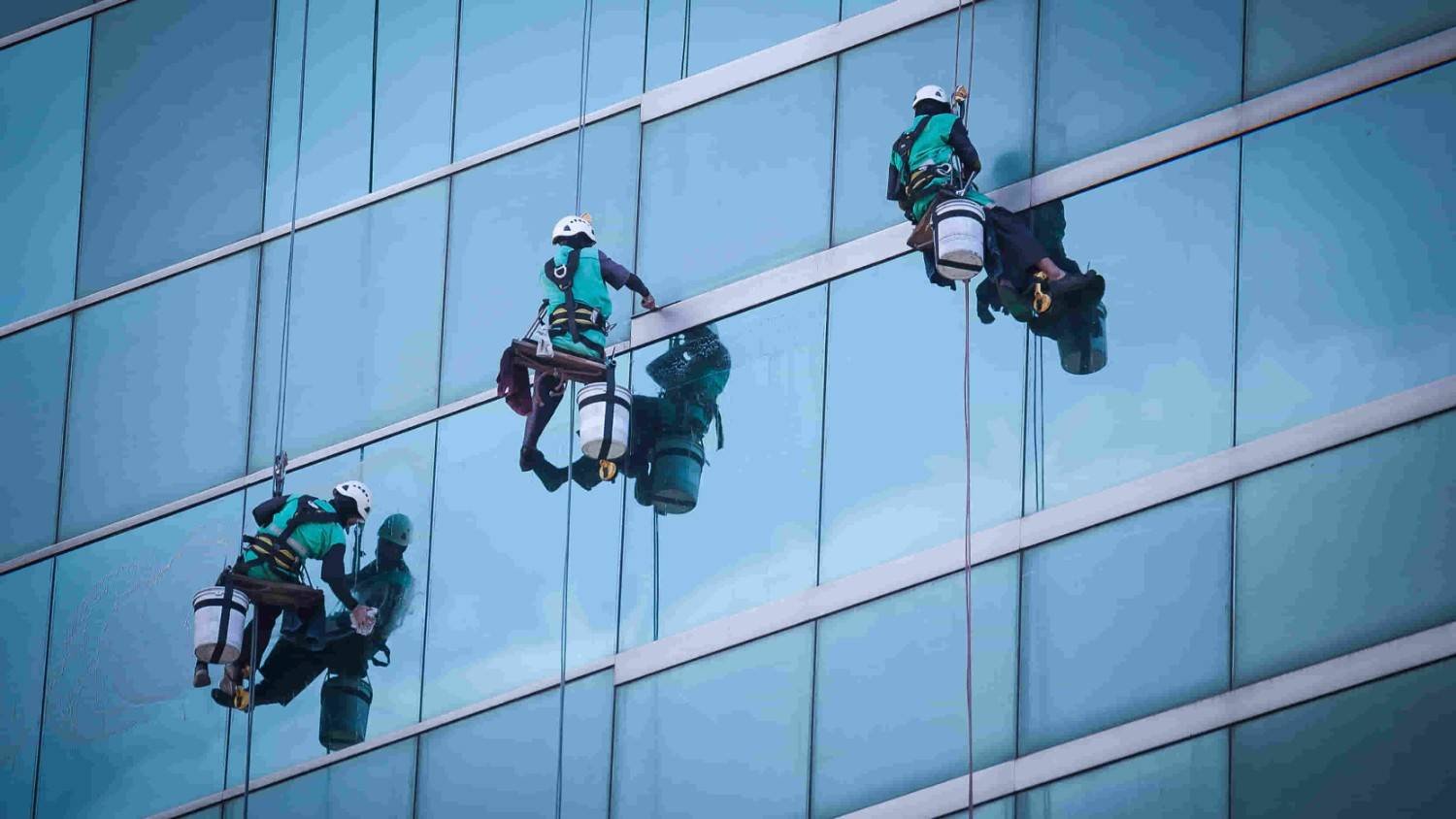 group of workers cleaning windows