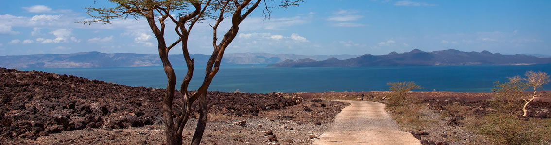 Energy Services in Africa