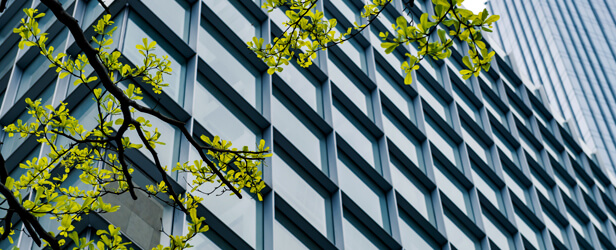 Environment and energy