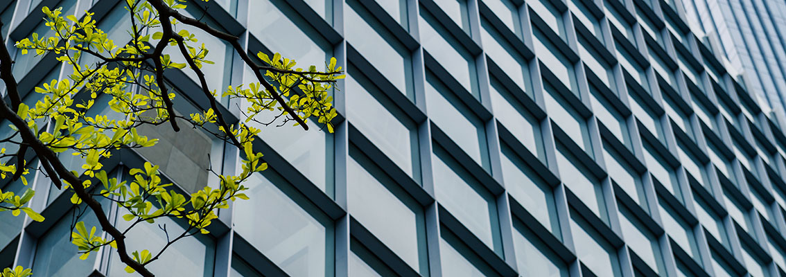 building with tree