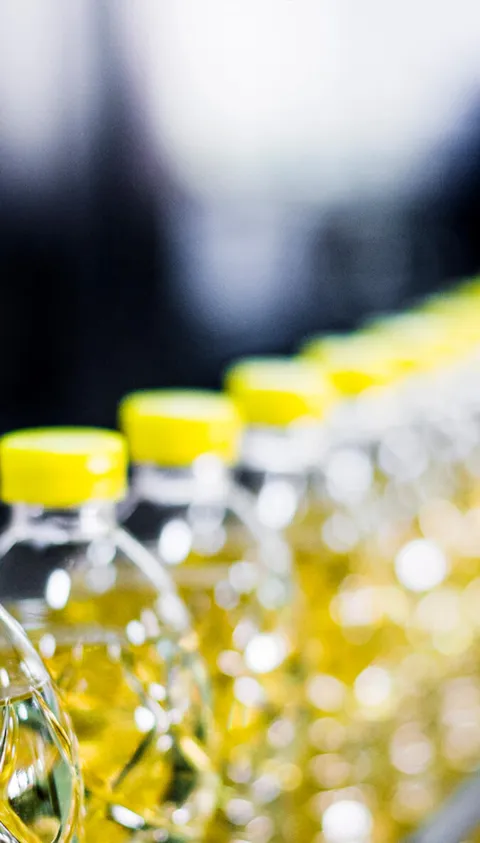 Production line of sunflower oil