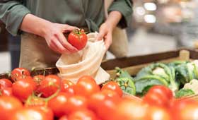 FSSC 22000 Version 6 Lead Auditor Training Course based on ISO 22000:2018