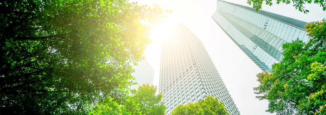 Business towers and Green leaves