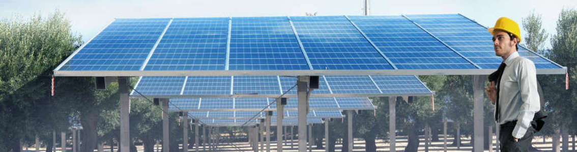 Proactive planning study - case study