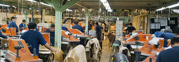 Social Accountability