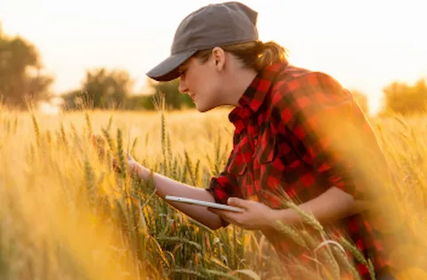 Transition to GLOBALG.A.P. IFA Version 6