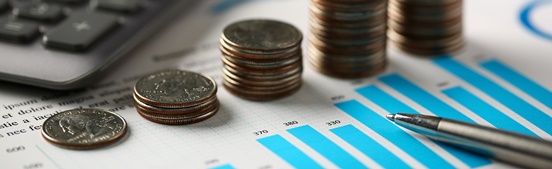 Wind & solar power projects, and investment risk training course leaflet